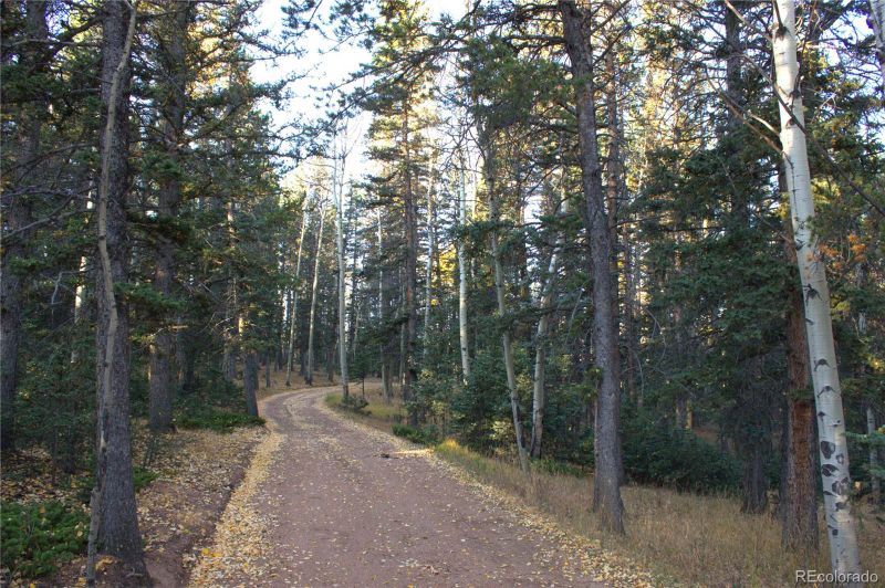 55 Worley Rd, Divide, CO 80814