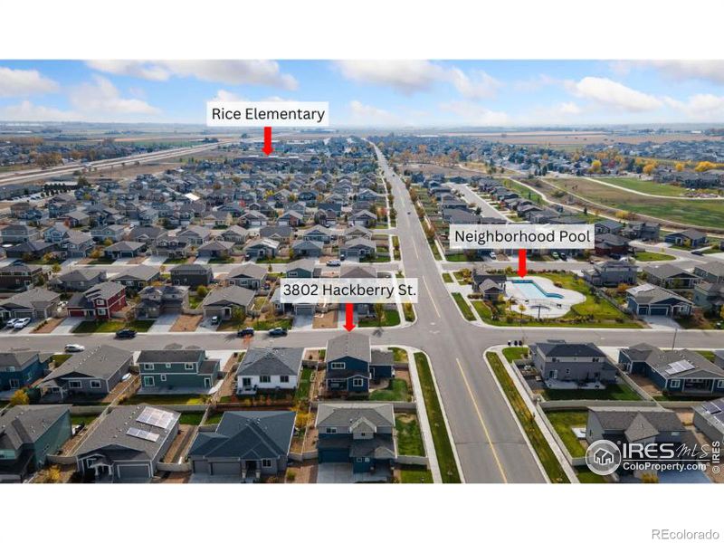 3802 Hackberry St, Wellington, CO 80549