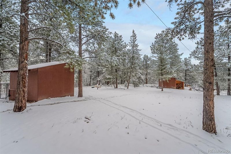 34291 Kiowa Ln, Pine, CO 80470