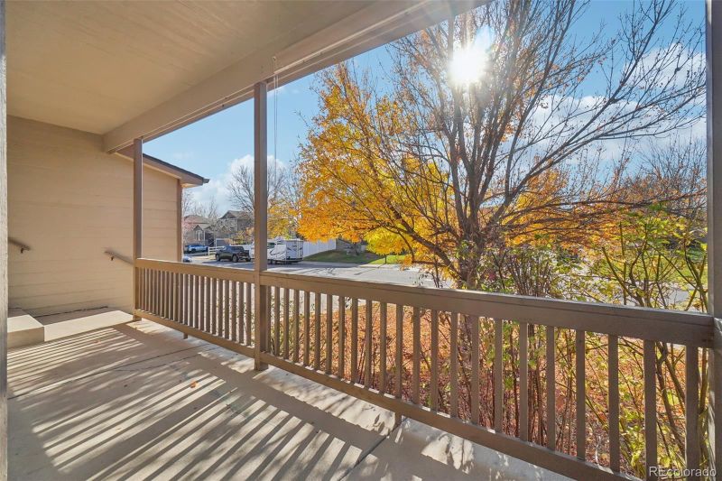 238 Snow Goose Ave, Loveland, CO 80537