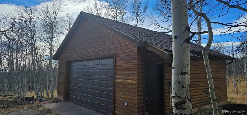 563 Palmer Peak Dr, Fairplay, CO 80440