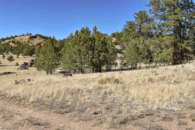 721 1st St, Guffey, CO 80820
