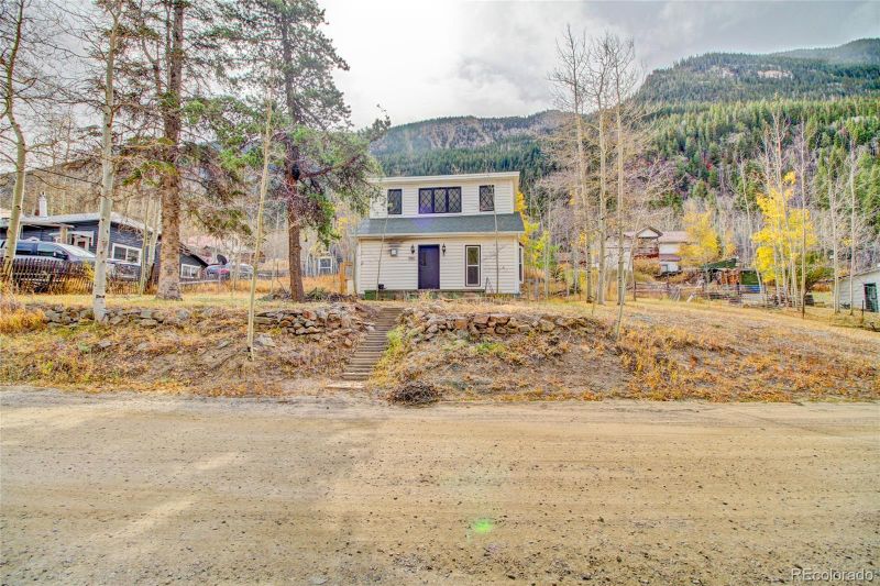 980 Mountain St, Silver Plume, CO 80476
