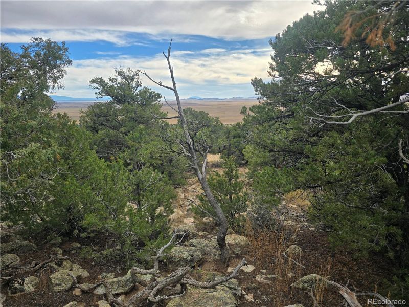 Lot 16 23rd St, Blanca, CO 81123