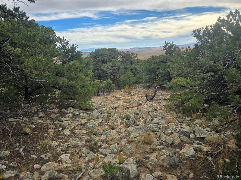 Lot 16 23rd St, Blanca, CO 81123