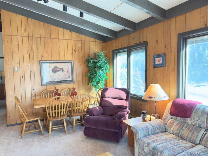 1513 E Keystone Rd #33, Dillon, CO 80435