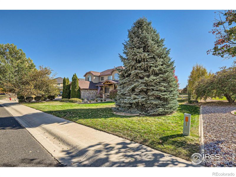 6856 Saddleback Ave, Firestone, CO 80504
