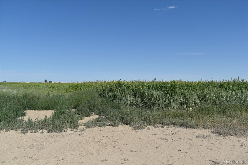 26500 County Road 23, Rocky Ford, CO 81067