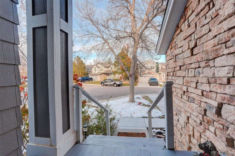 10589 Winterflower Way, Parker, CO 80134