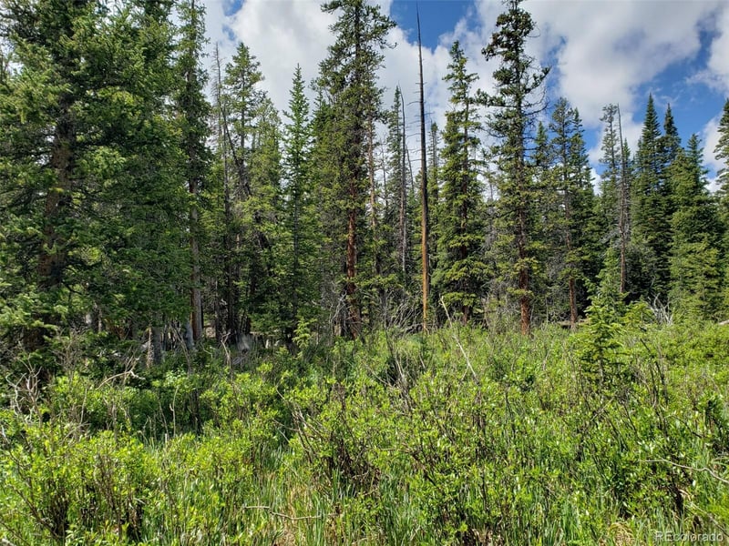 585 Porcupine Rd, Fairplay, CO 80440