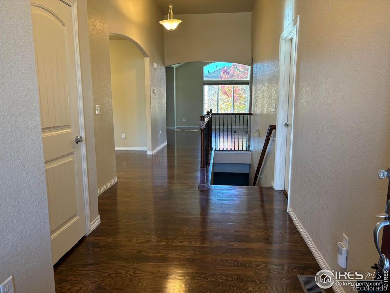 4607 Freehold Dr, Windsor, CO 80550