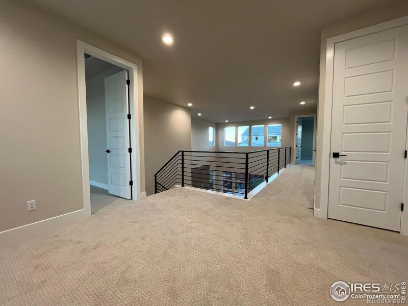 1707 Branching Canopy Dr, Windsor, CO 80550