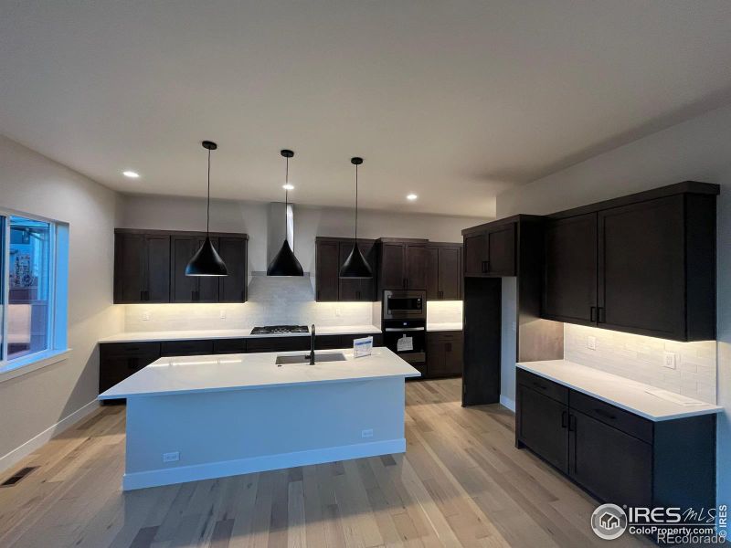1707 Branching Canopy Dr, Windsor, CO 80550
