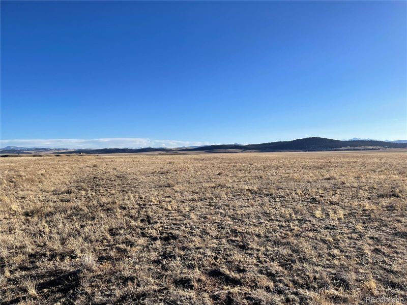 1401 Kiowa Trl, Hartsel, CO 80449