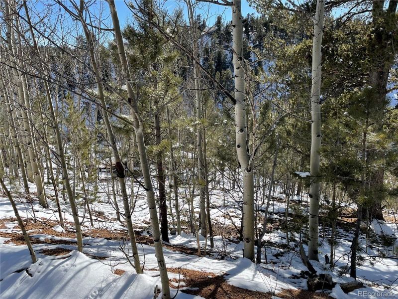 0 Road P 11, Bailey, CO 80421