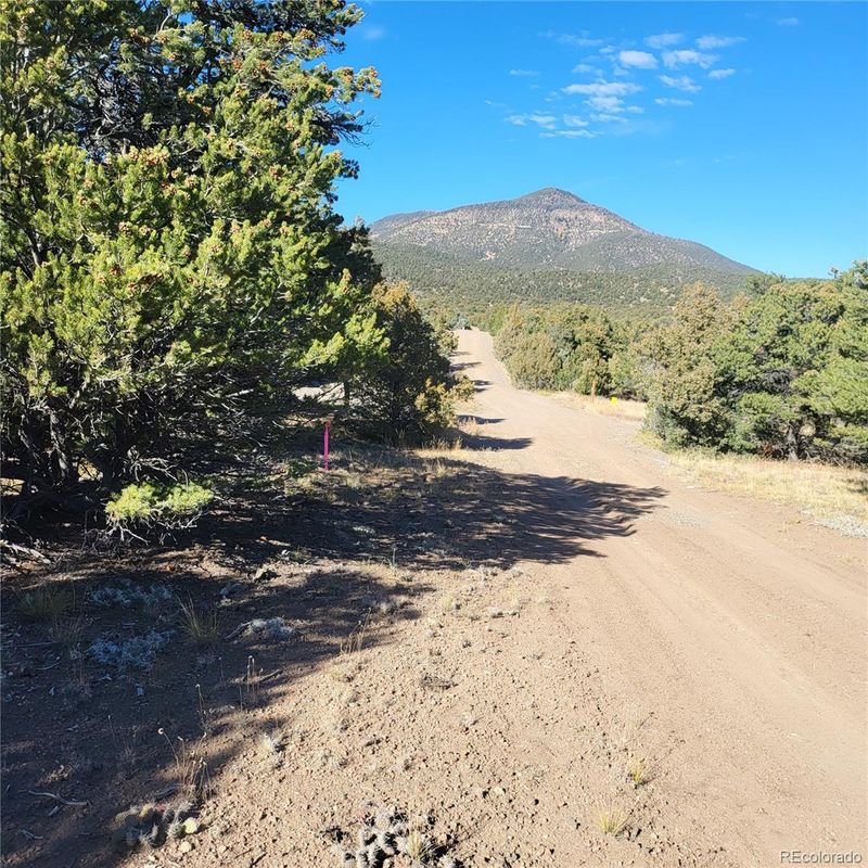 436 Pikes Peak Rd Lot 8,9,11,12, South Fork, CO 81154