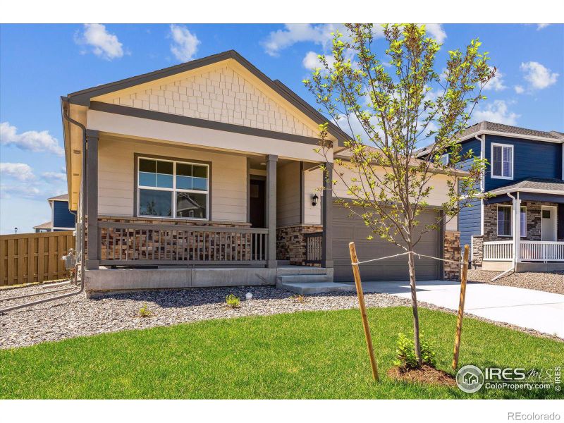 4979 Buelingo Dr, Windsor, CO 80528