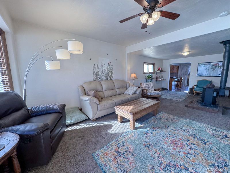 130 E 11th St, Leadville, CO 80461