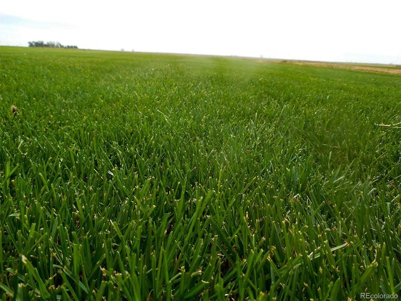 622 S Cr 149, Strasburg, CO 80136