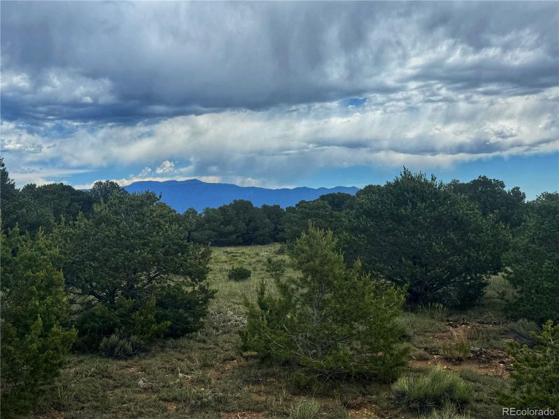106 Colorado Land & Grazing, Walsenburg, CO 81089