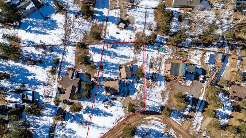 463 Beaver Trl, Bailey, CO 80421