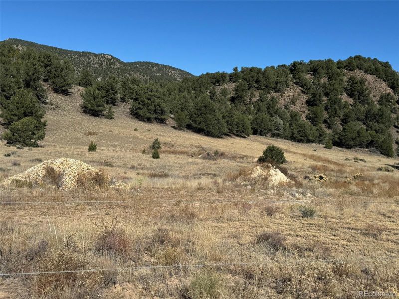 2925 County Road 1, Cotopaxi, CO 81223