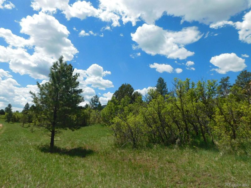 6129 St Andrews Ct, Larkspur, CO 80118