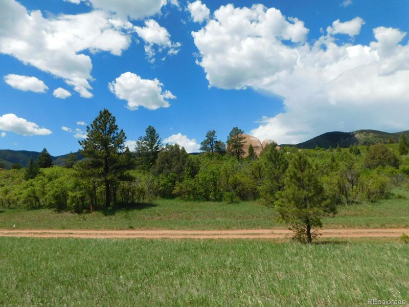 6129 St Andrews Ct, Larkspur, CO 80118