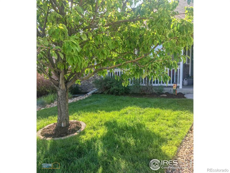 1621 70th Ave, Greeley, CO 80634