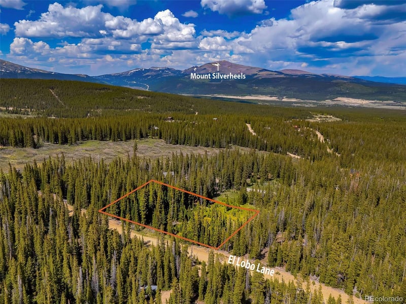 632 El Lobo Ln Lot 696, Fairplay, CO 80440