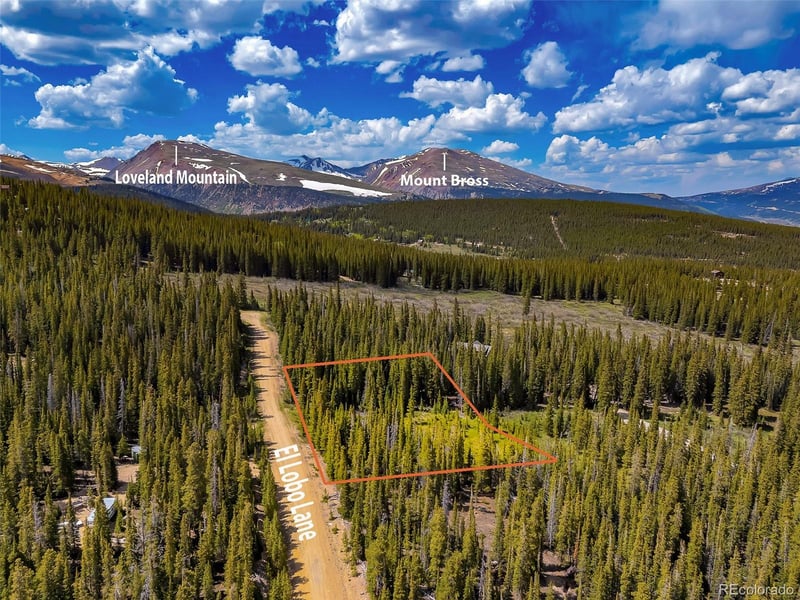 632 El Lobo Ln Lot 696, Fairplay, CO 80440