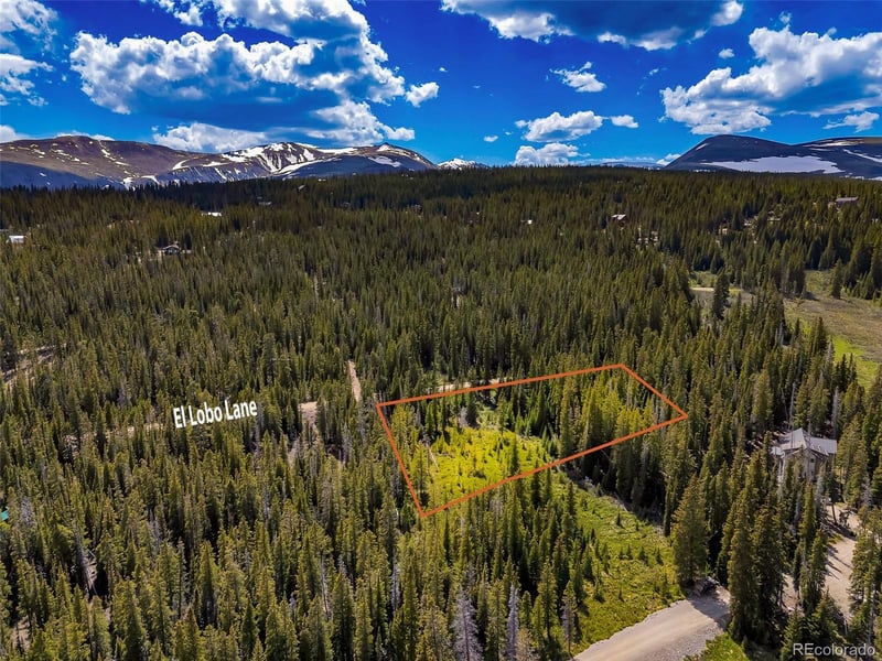 632 El Lobo Ln Lot 696, Fairplay, CO 80440