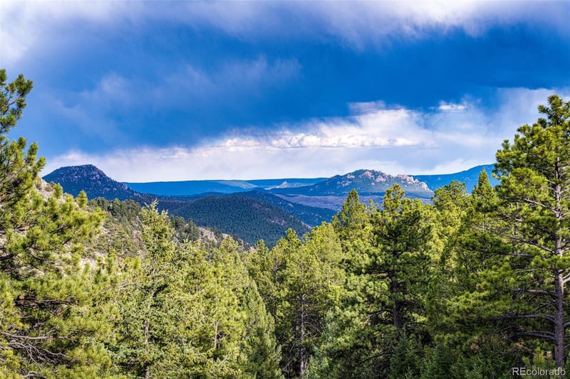 14564 Reserve Rd, Pine, CO 80470