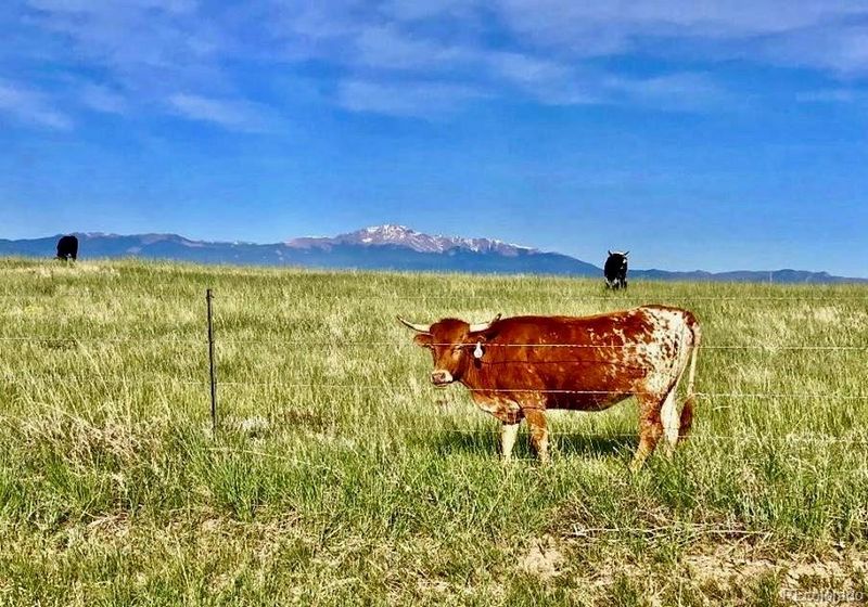 9540 N Log Rd, Calhan, CO 80808