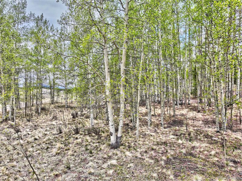142 Puma Ct, Como, CO 80432