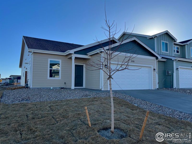 3193 Buffalo Grass Ln, Wellington, CO 80549