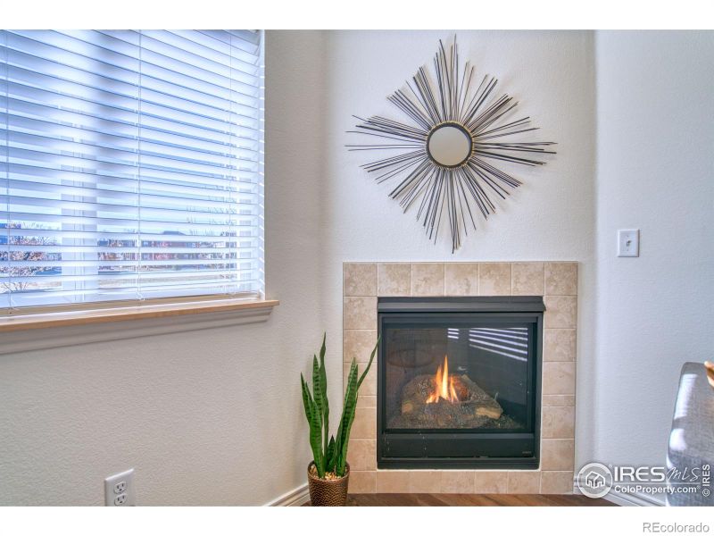 226 N Parkside Dr #F, Longmont, CO 80501