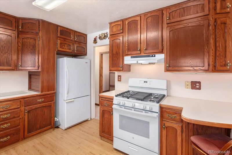 538 Park Ln, Buena Vista, CO 81211