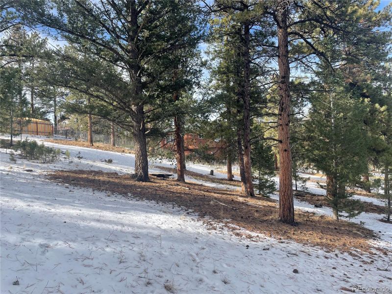 203 Neal St, Bailey, CO 80421