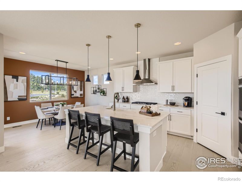 2929 South Flat Cir, Longmont, CO 80503