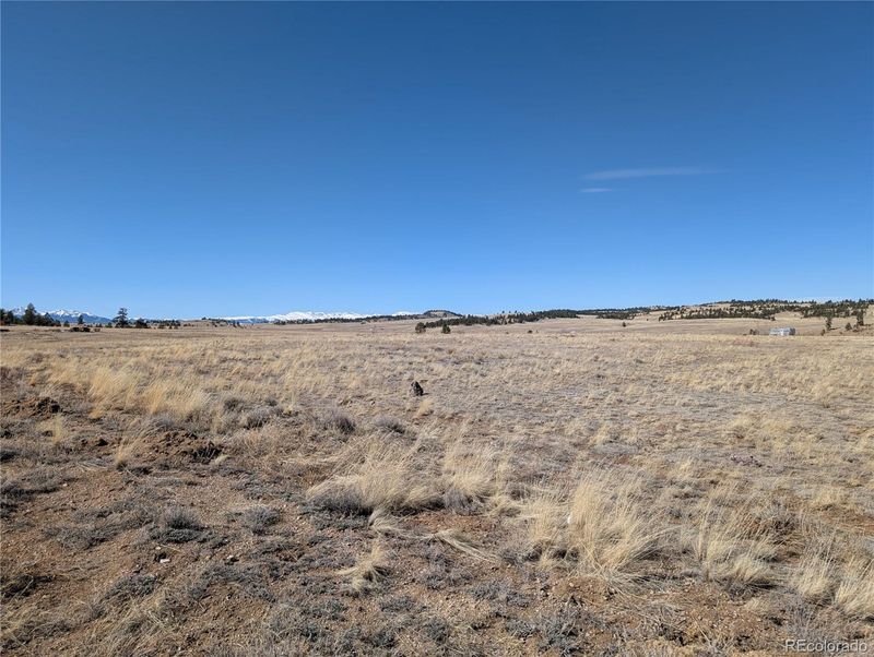 Black Bear Rd Lot 59, 70, Hartsel, CO 80449