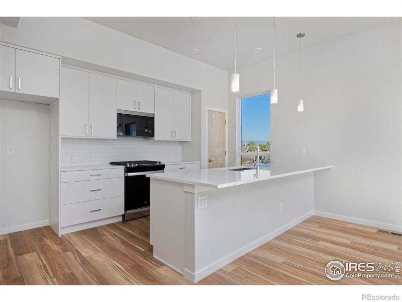 733 Kubat Ln #A, Longmont, CO 80503