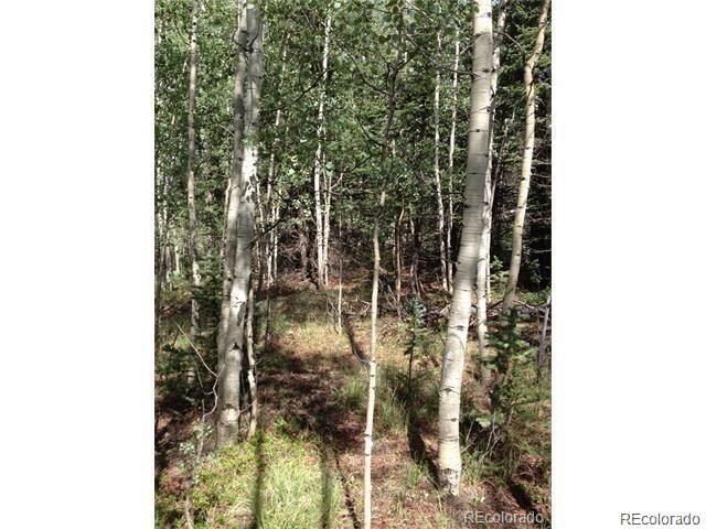 155 Folsom Dr, Jefferson, CO 80456
