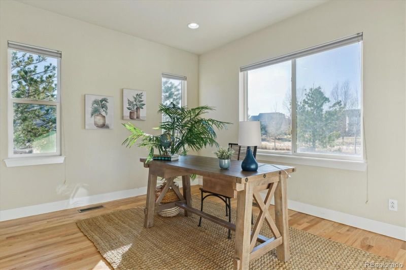 10607 Rutledge St, Parker, CO 80134
