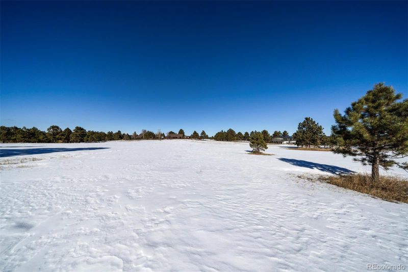 17875 Saddlewood Rd, Monument, CO 80132