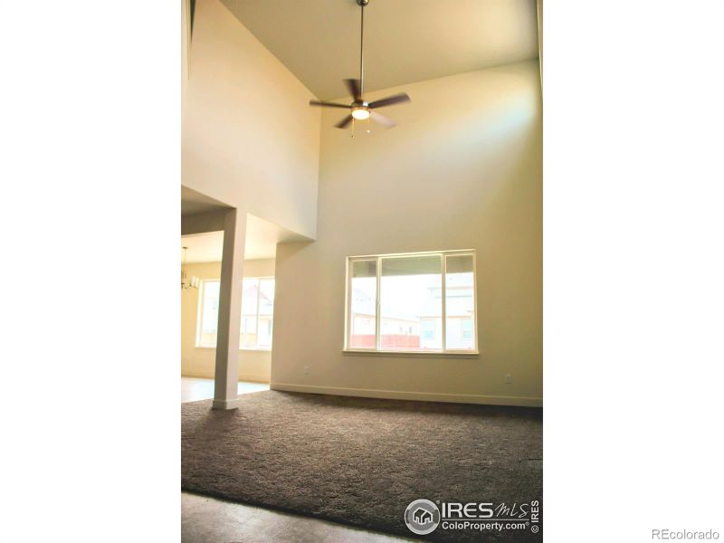 419 Vivid Ln, Windsor, CO 80550