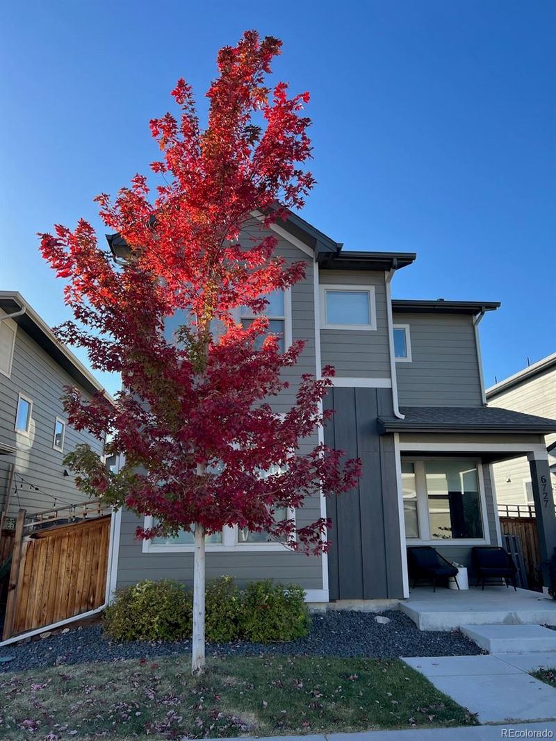 6727 Canosa St, Denver, CO 80221