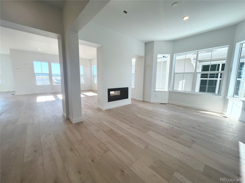 3904 Treadway Point, Castle Rock, CO 80108