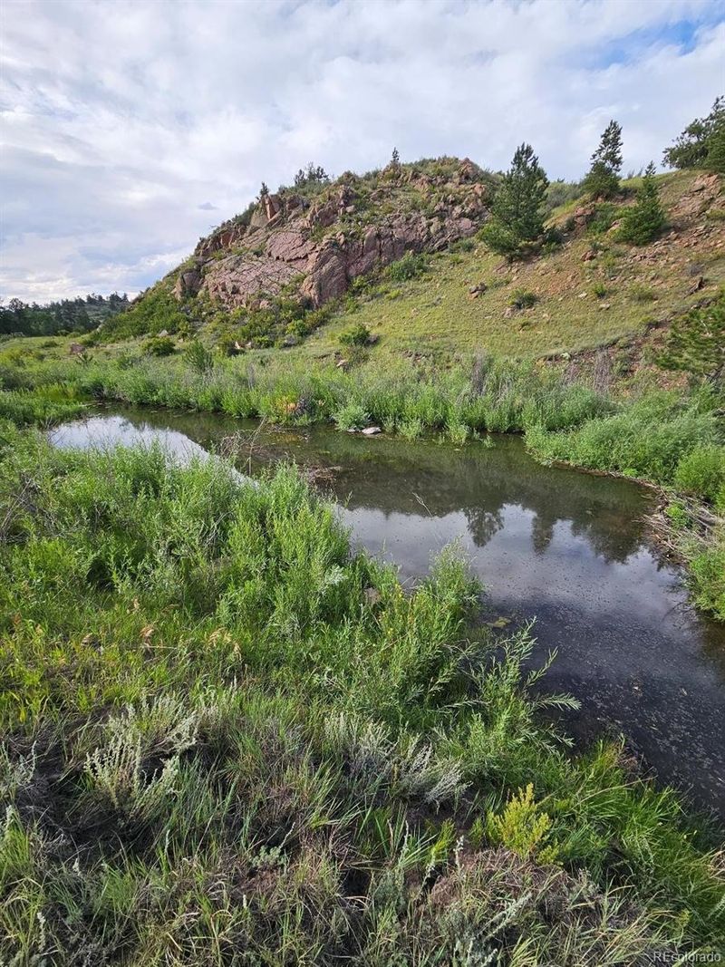 7275 Co 9, Guffey, CO 80820