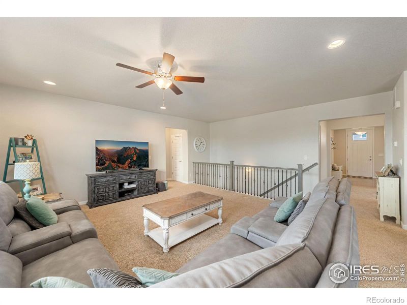 5345 Clarence Dr, Windsor, CO 80550